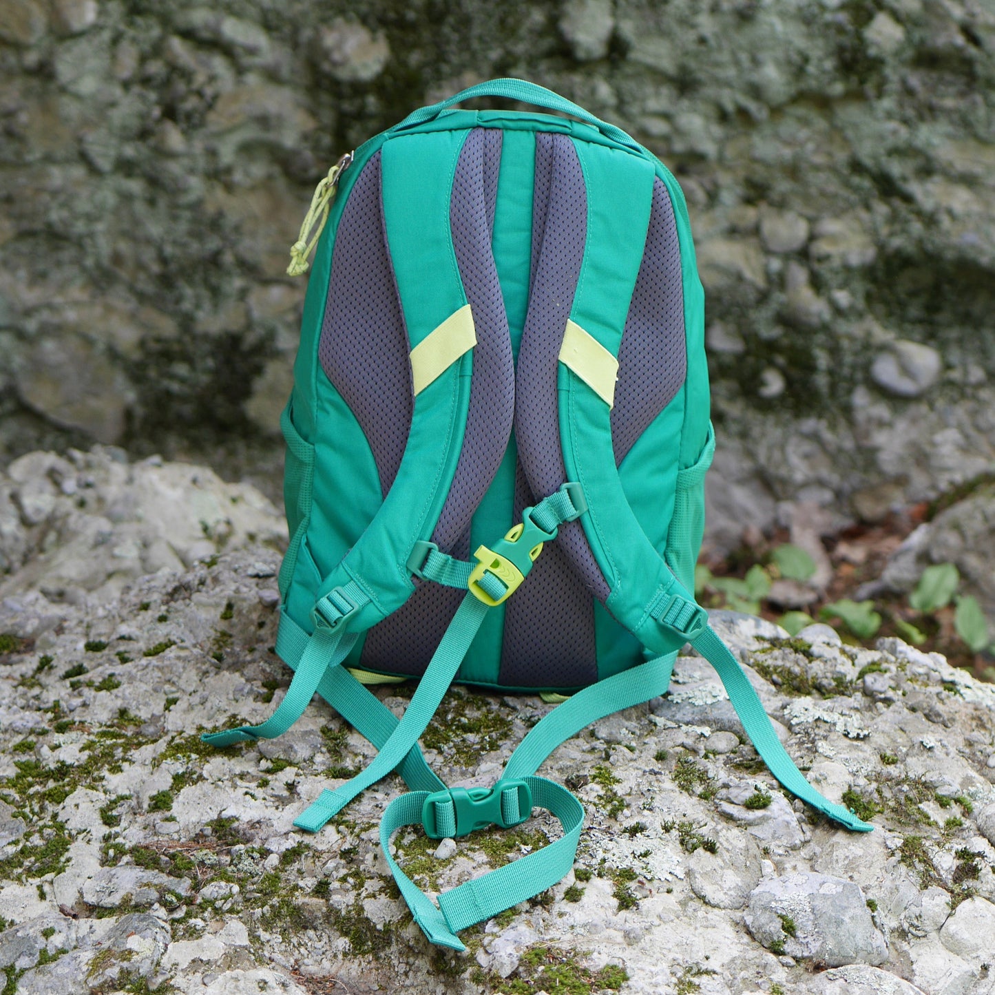 Tarn 12 Backpack - Evergreen (BP12)