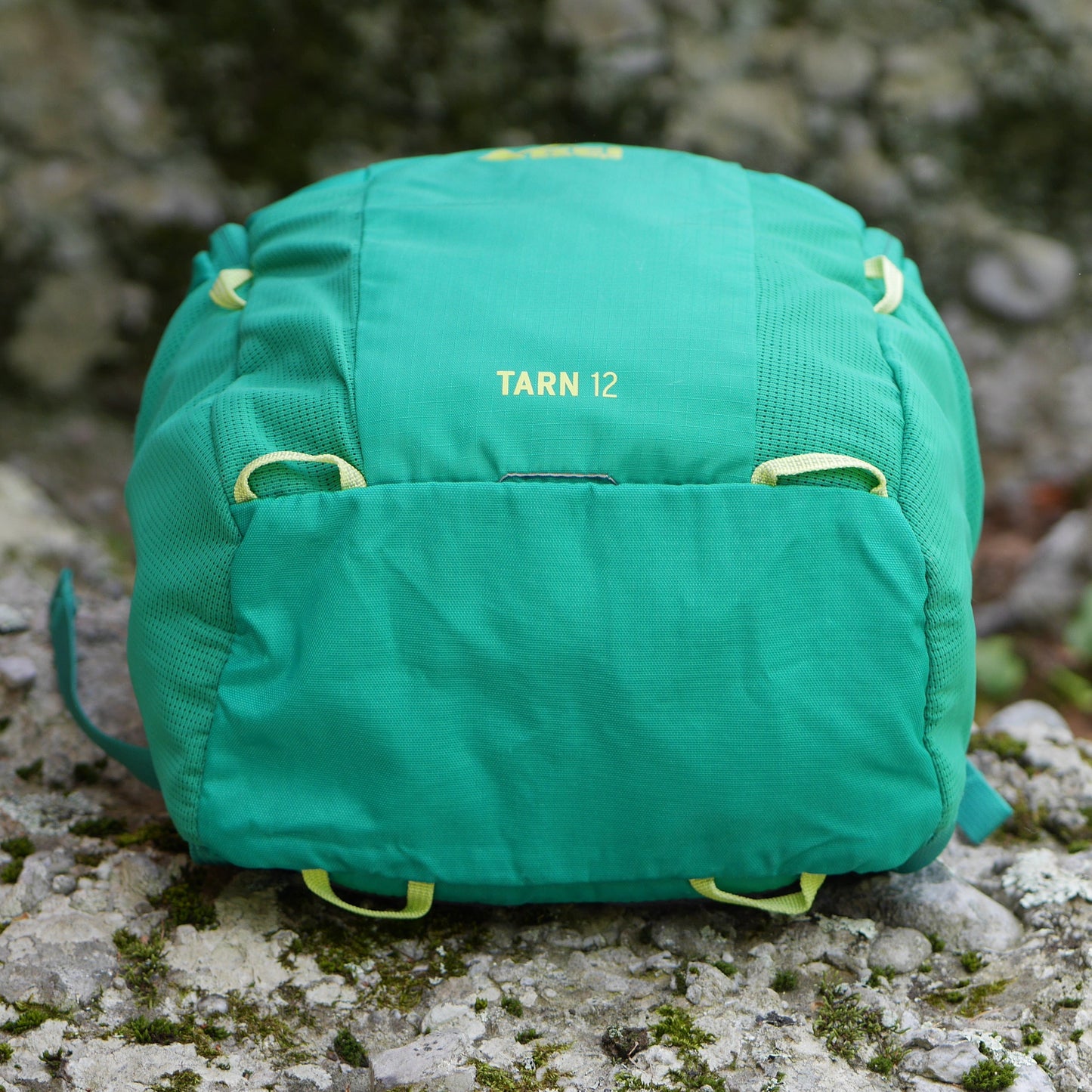 Tarn 12 Backpack - Evergreen (BP12)