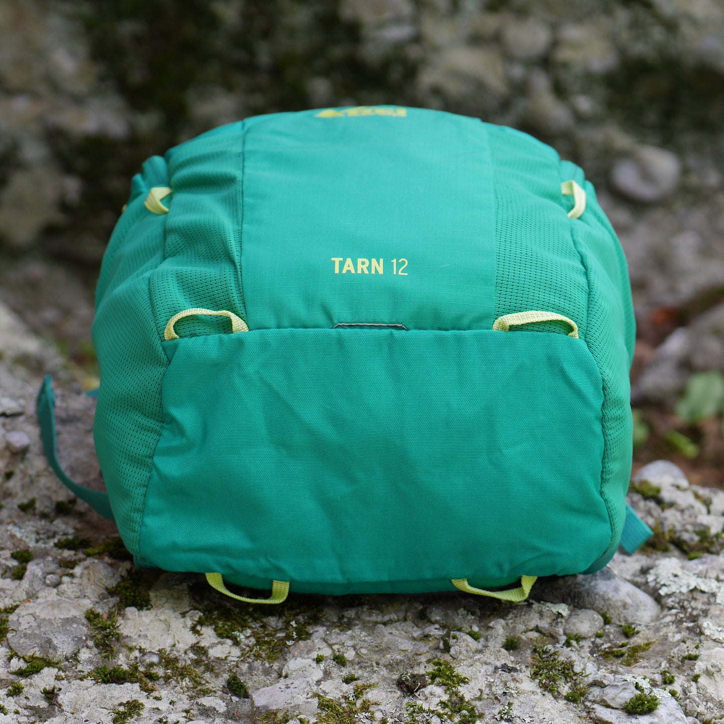 Tarn 12 Backpack - Evergreen (BP12)