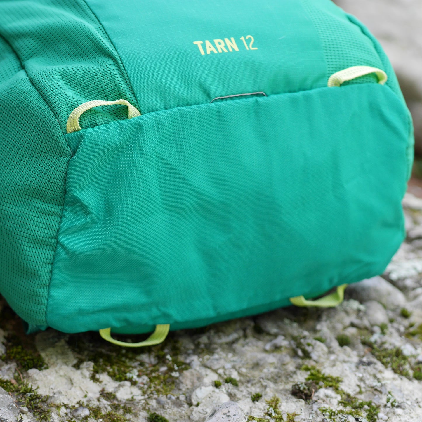 Tarn 12 Backpack - Evergreen (BP12)