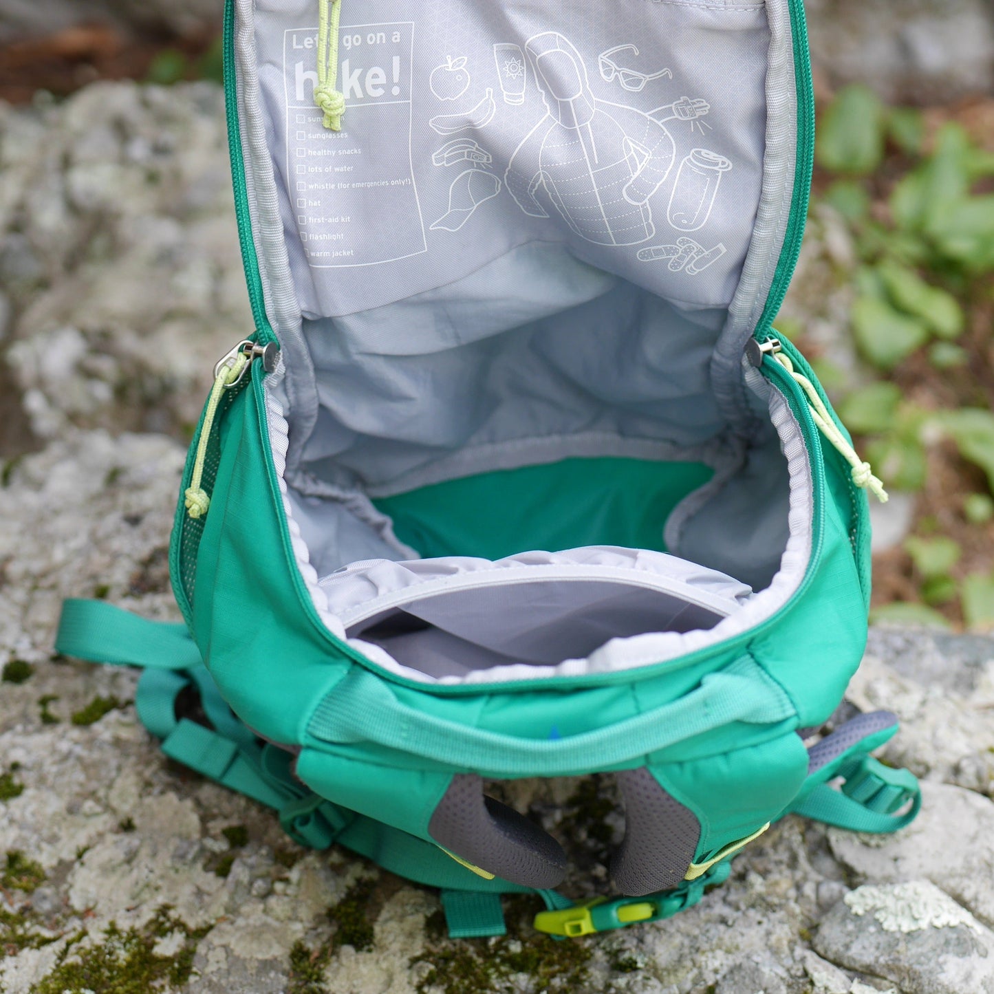 Tarn 12 Backpack - Evergreen (BP12)