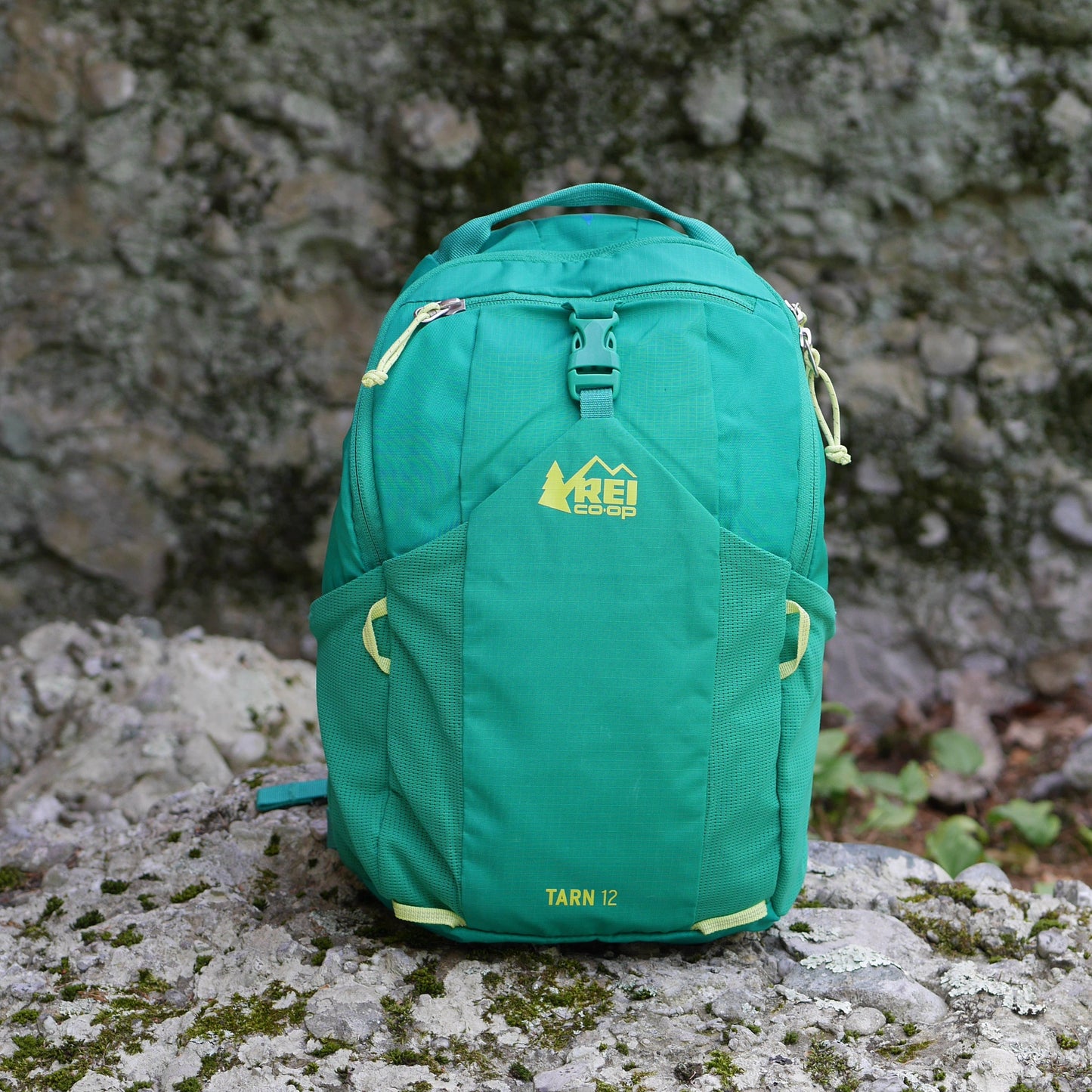 Tarn 12 Backpack - Evergreen (BP12)