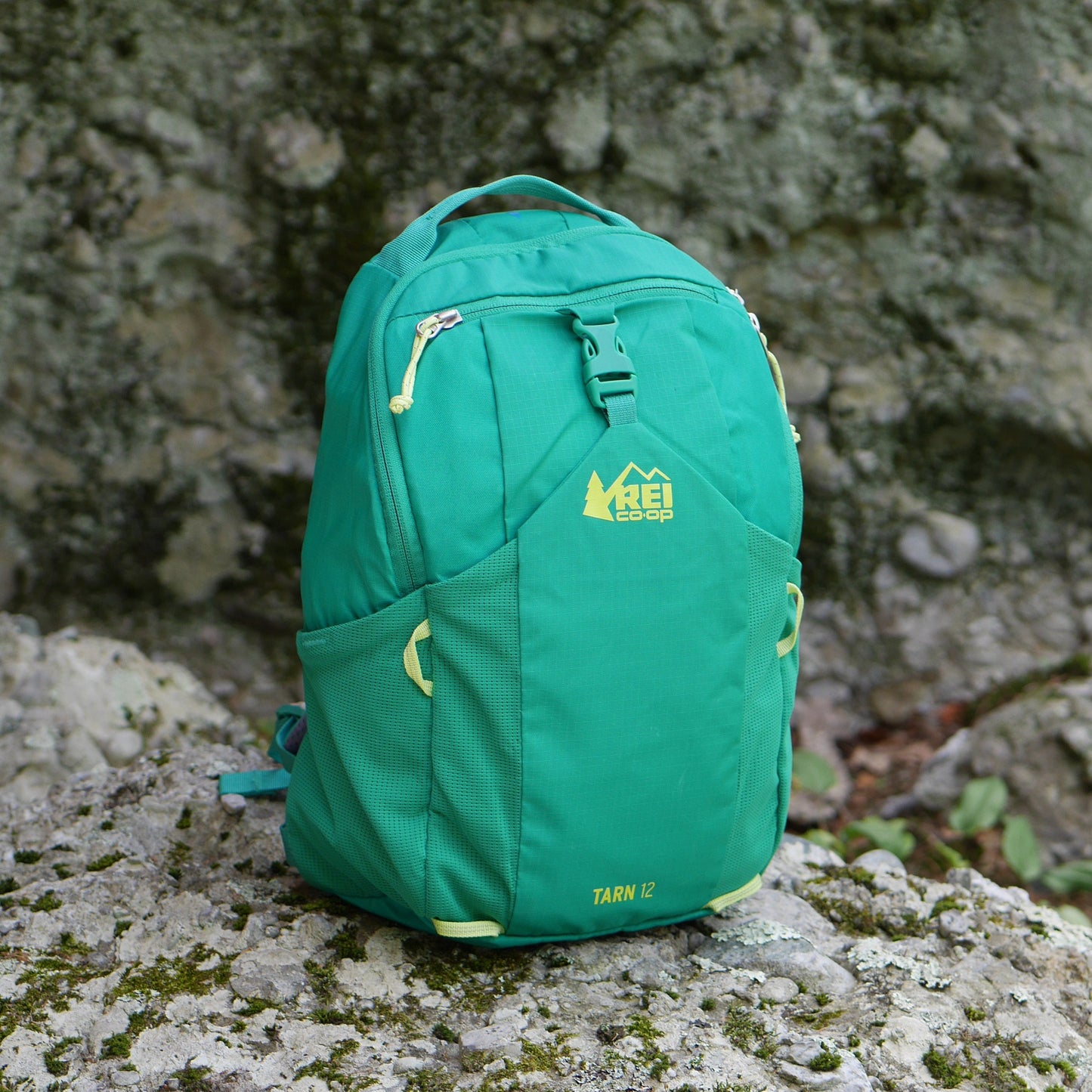 Tarn 12 Backpack - Evergreen (BP12)