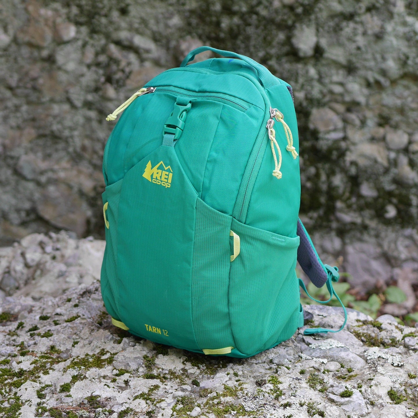 Tarn 12 Backpack - Evergreen (BP12)