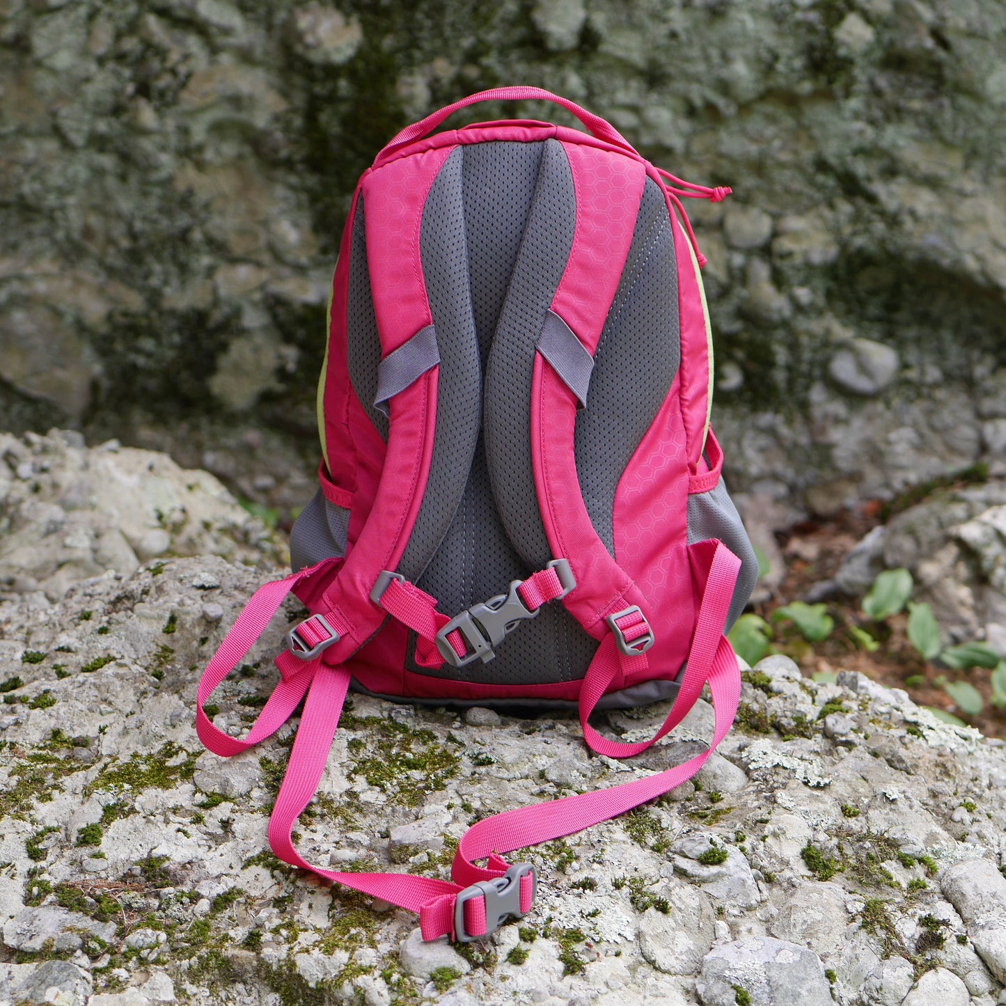 Sprig 12 Backpack (2nd Generation) - Maiden Pink (BP17)