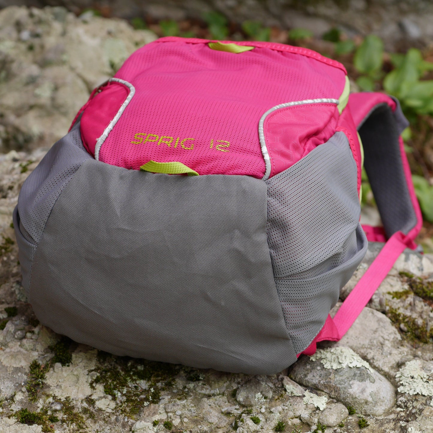 Sprig 12 Backpack (2nd Generation) - Maiden Pink (BP17)