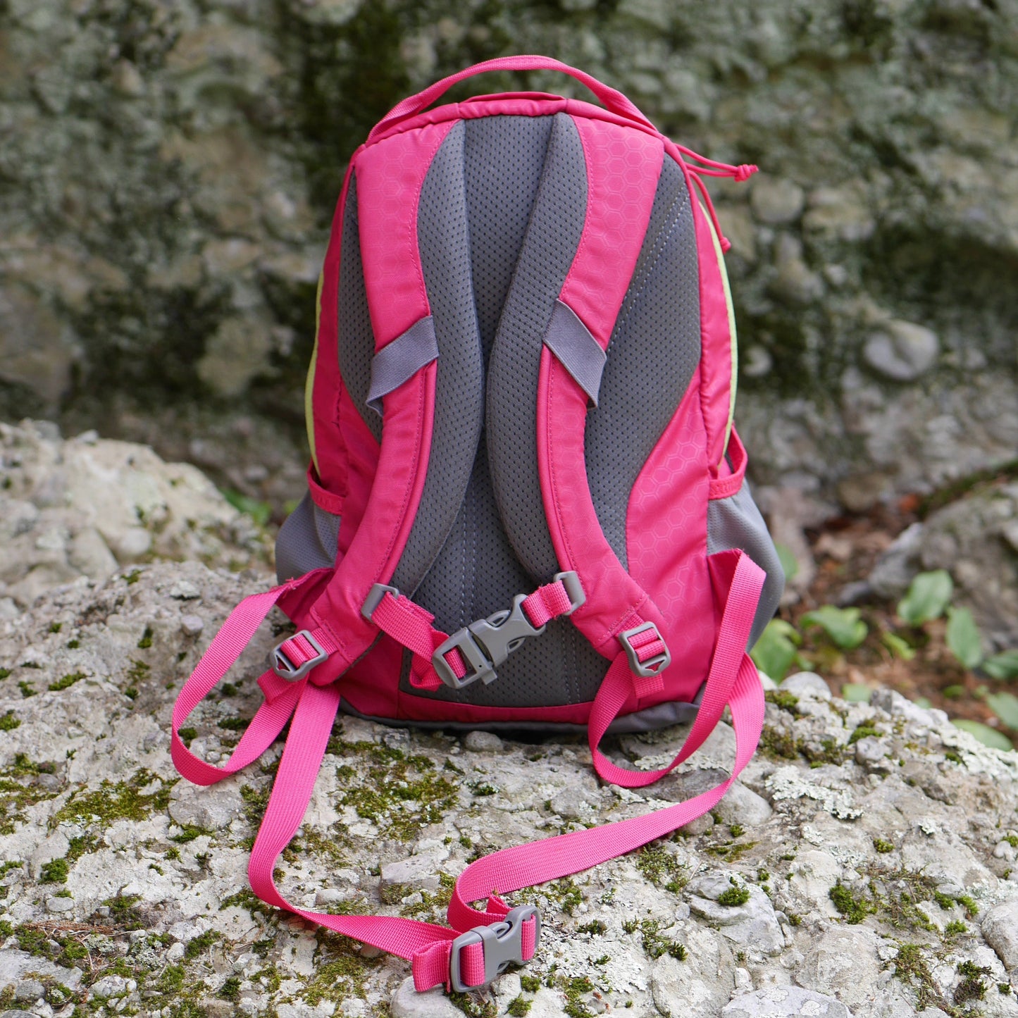 Sprig 12 Backpack (2nd Generation) - Maiden Pink (BP17)