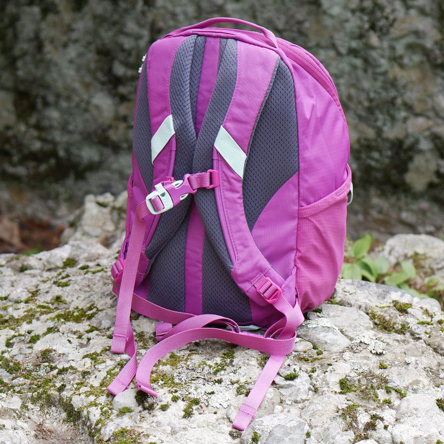 Tarn 12 Backpack - Pink Vivid Viola (B24)