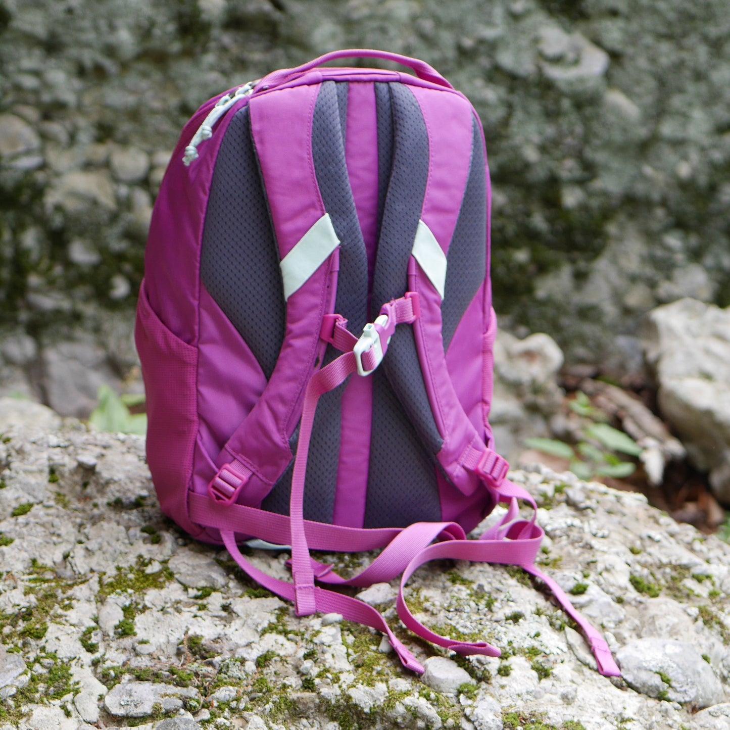 Tarn 12 Backpack - Pink Vivid Viola (B24)