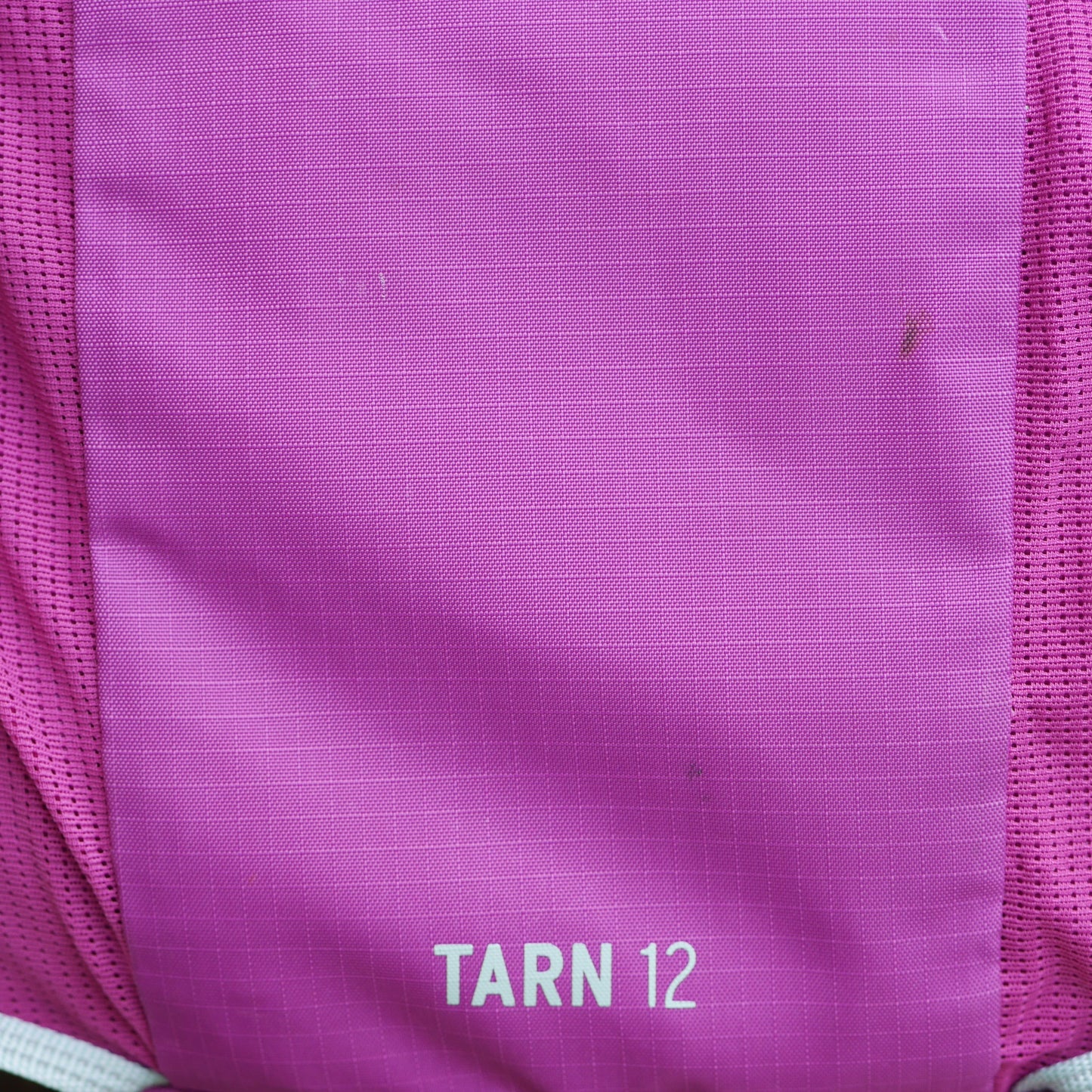 Tarn 12 Backpack - Pink Vivid Viola (B24)