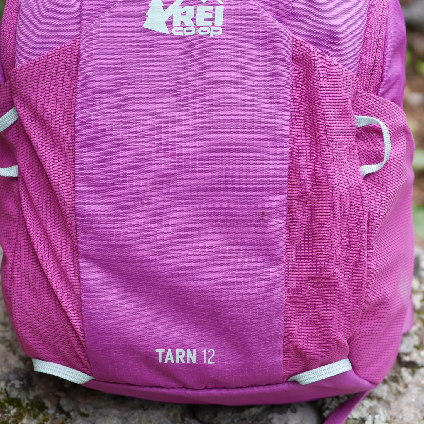 Tarn 12 Backpack - Pink Vivid Viola (B24)