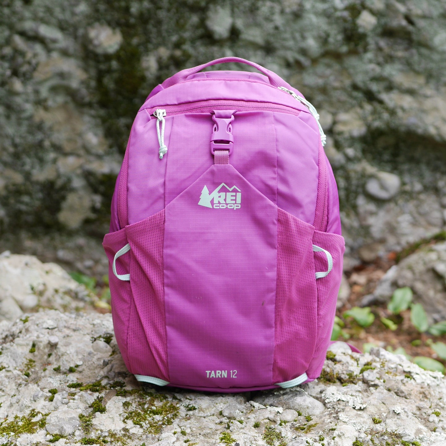 Tarn 12 Backpack - Pink Vivid Viola (B24)