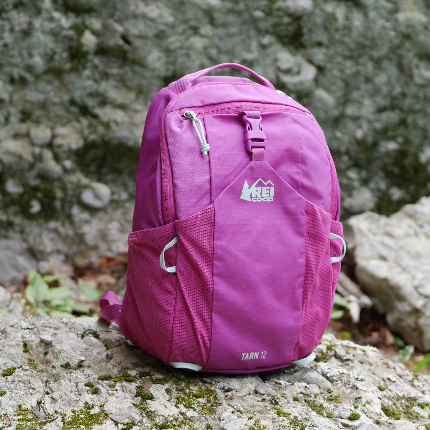 Tarn 12 Backpack - Pink Vivid Viola (B24)