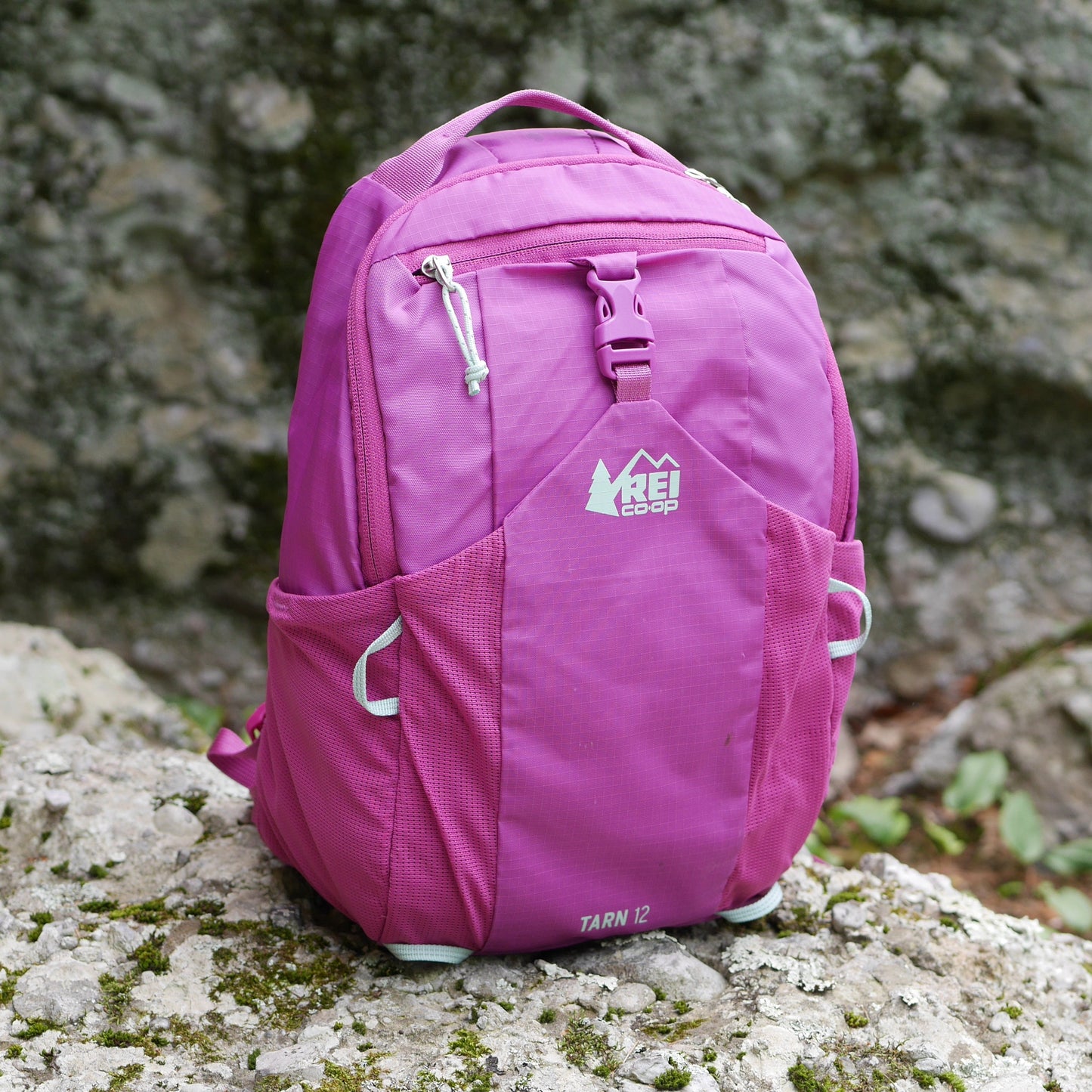 Tarn 12 Backpack - Pink Vivid Viola (B24)