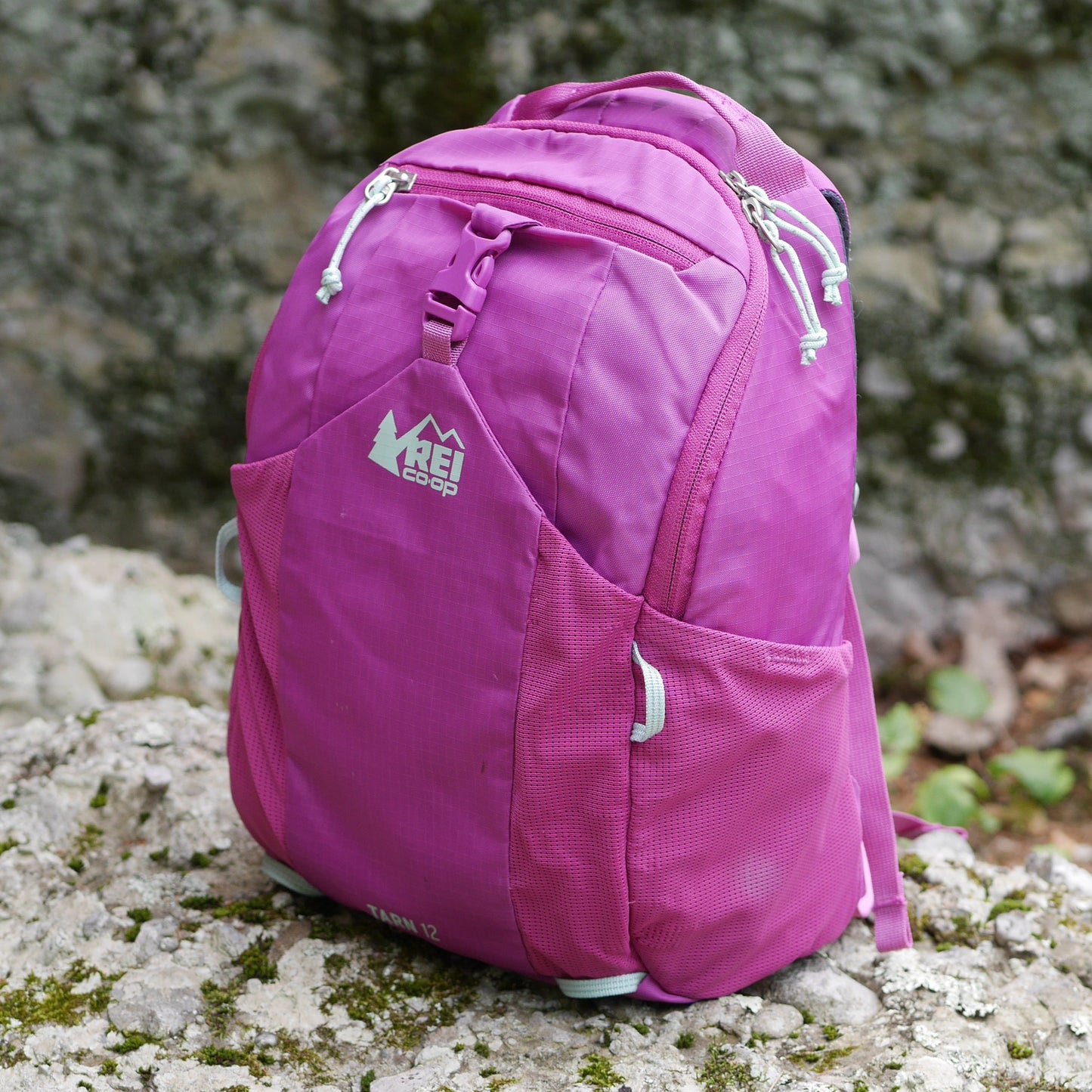 Tarn 12 Backpack - Pink Vivid Viola (B24)