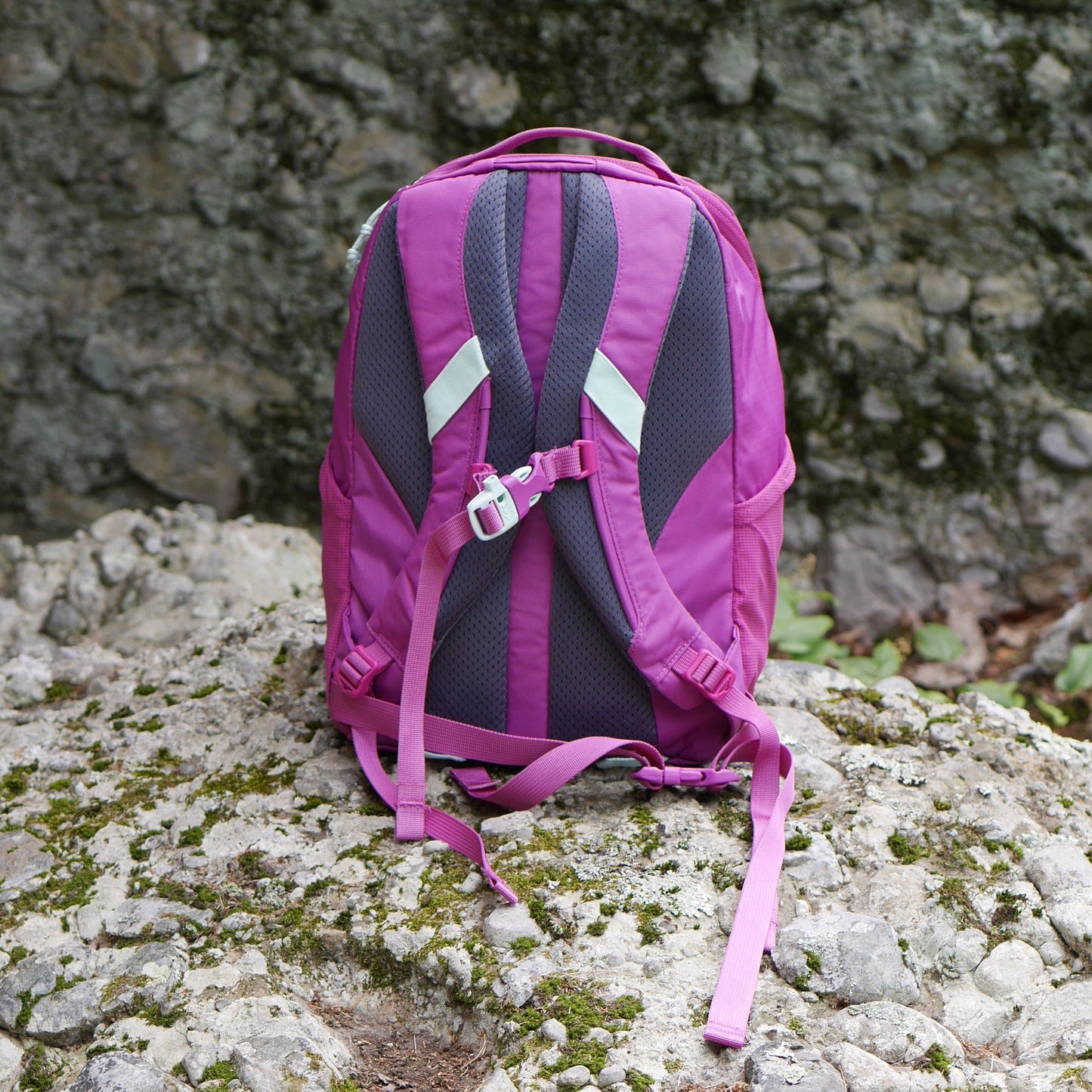 Tarn 12 Backpack - Pink Vivid Viola (B24)