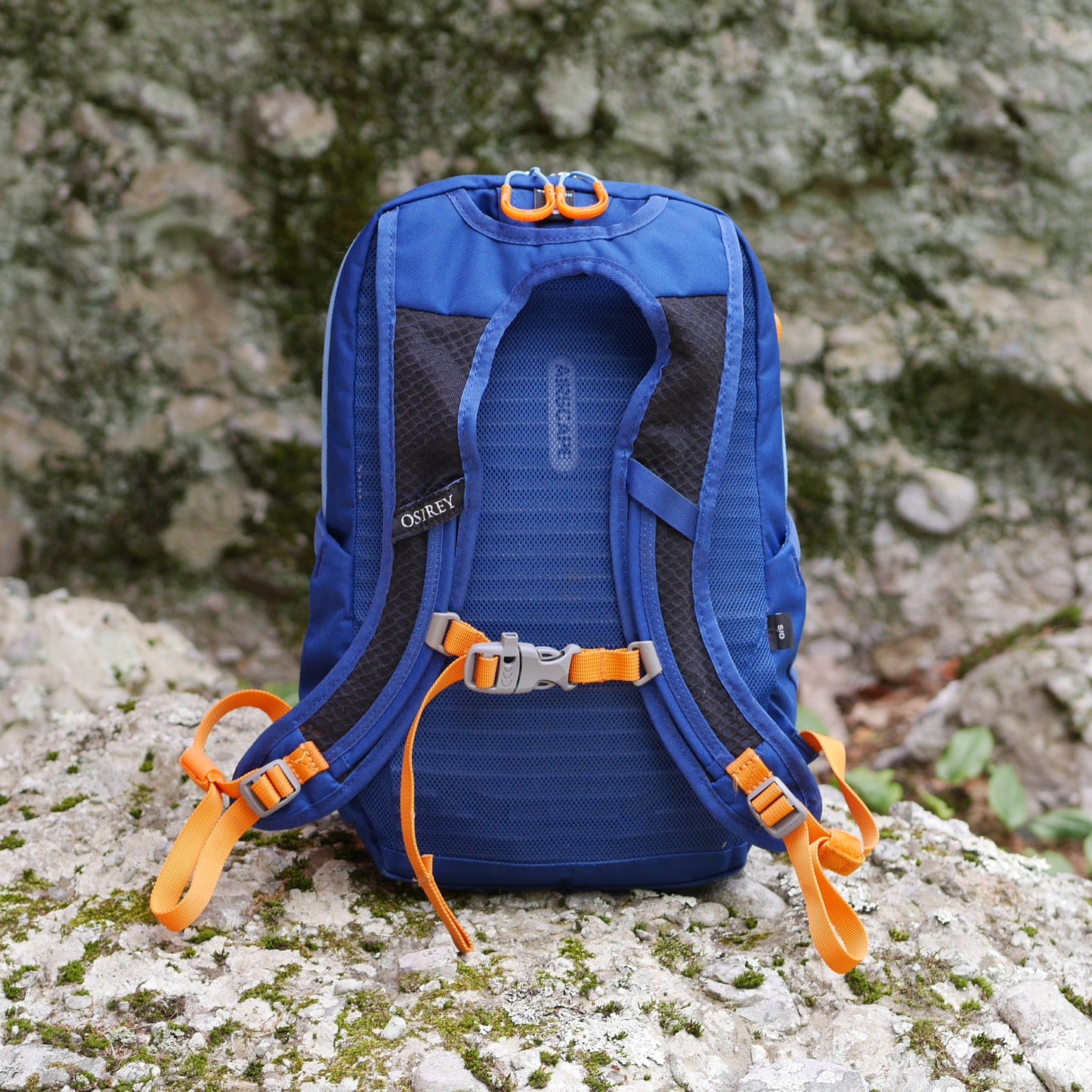 Daylite Jr. Backpack - Dancing Leaves Print / Blue Current (BP28)