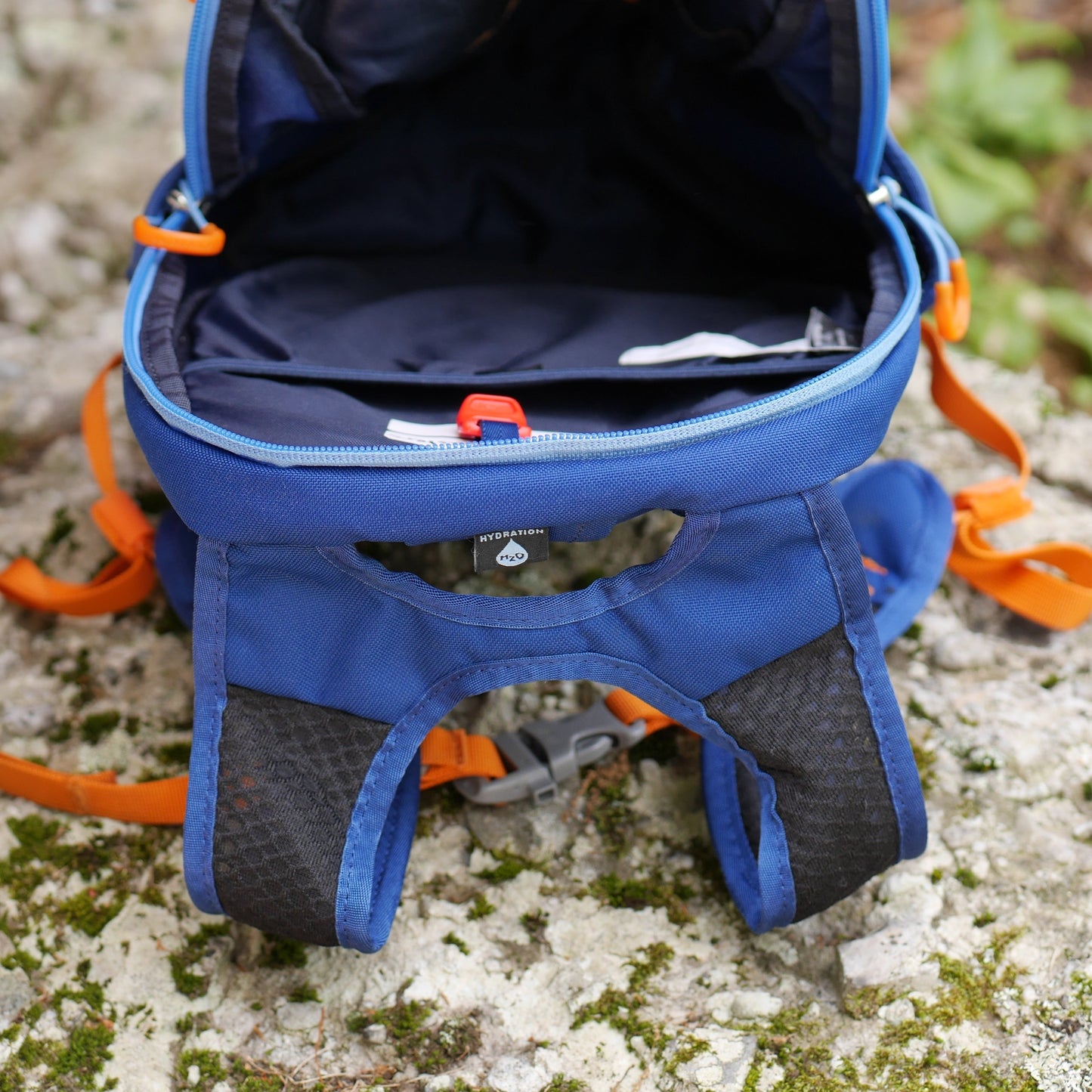 Daylite Jr. Backpack - Dancing Leaves Print / Blue Current (BP28)