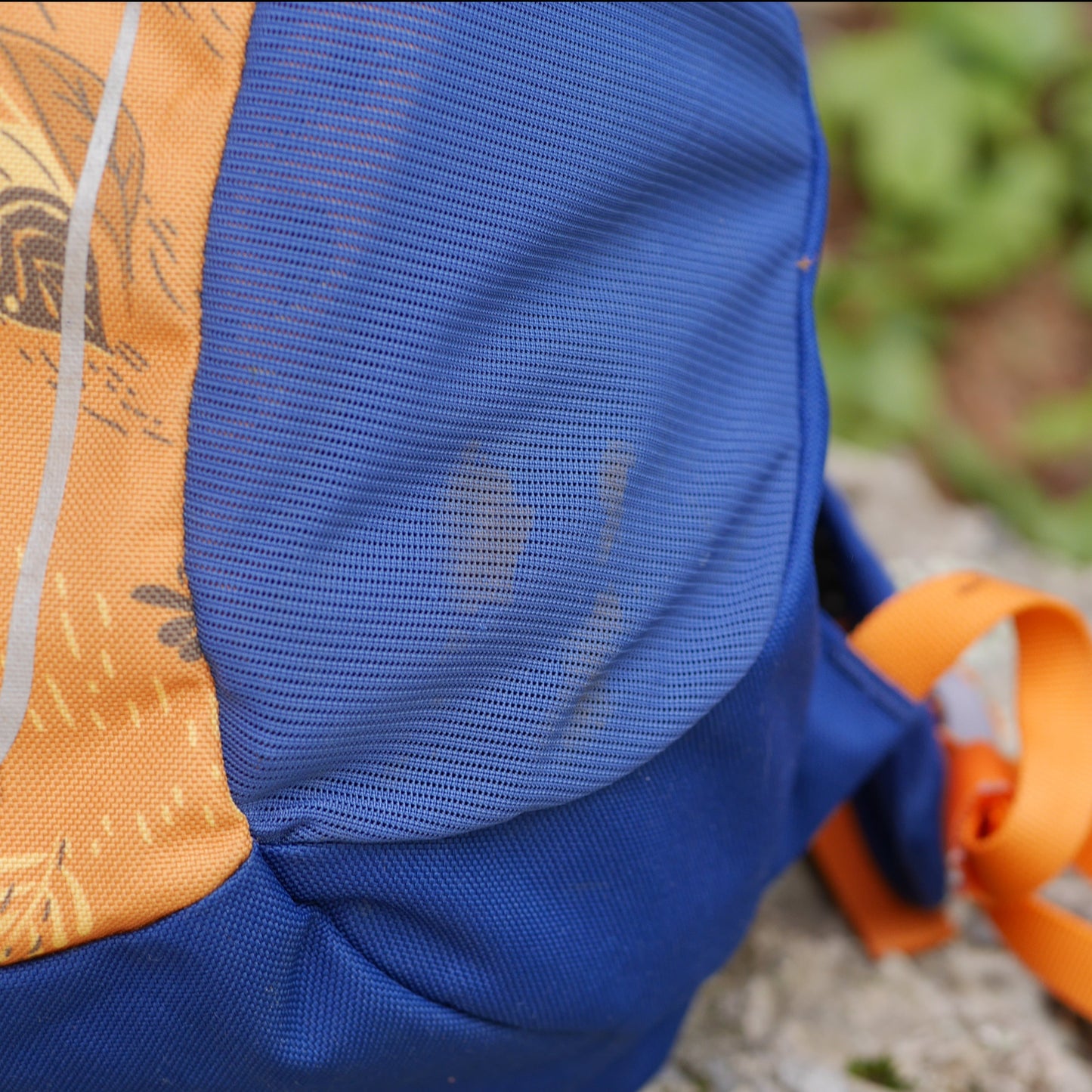 Daylite Jr. Backpack - Dancing Leaves Print / Blue Current (BP28)