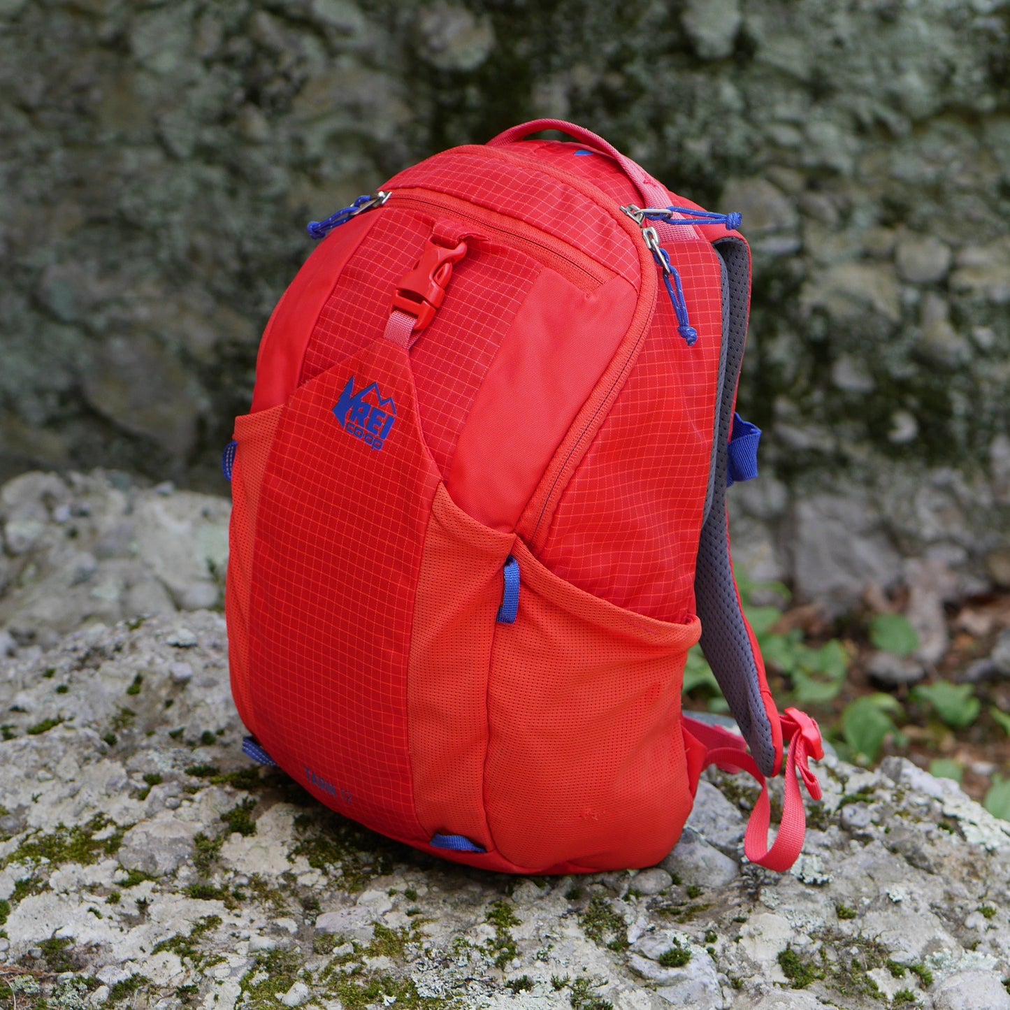 Reserved for Tia: Tarn 12 Backpack - Red (BP0093)