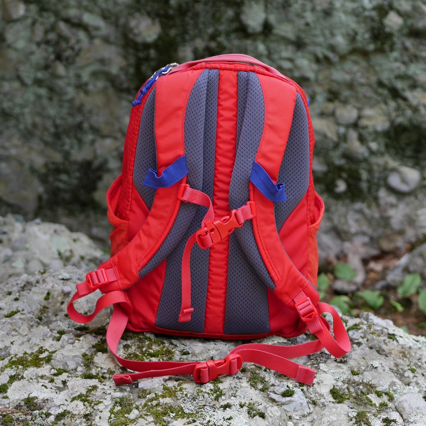 Reserved for Tia: Tarn 12 Backpack - Red (BP0093)