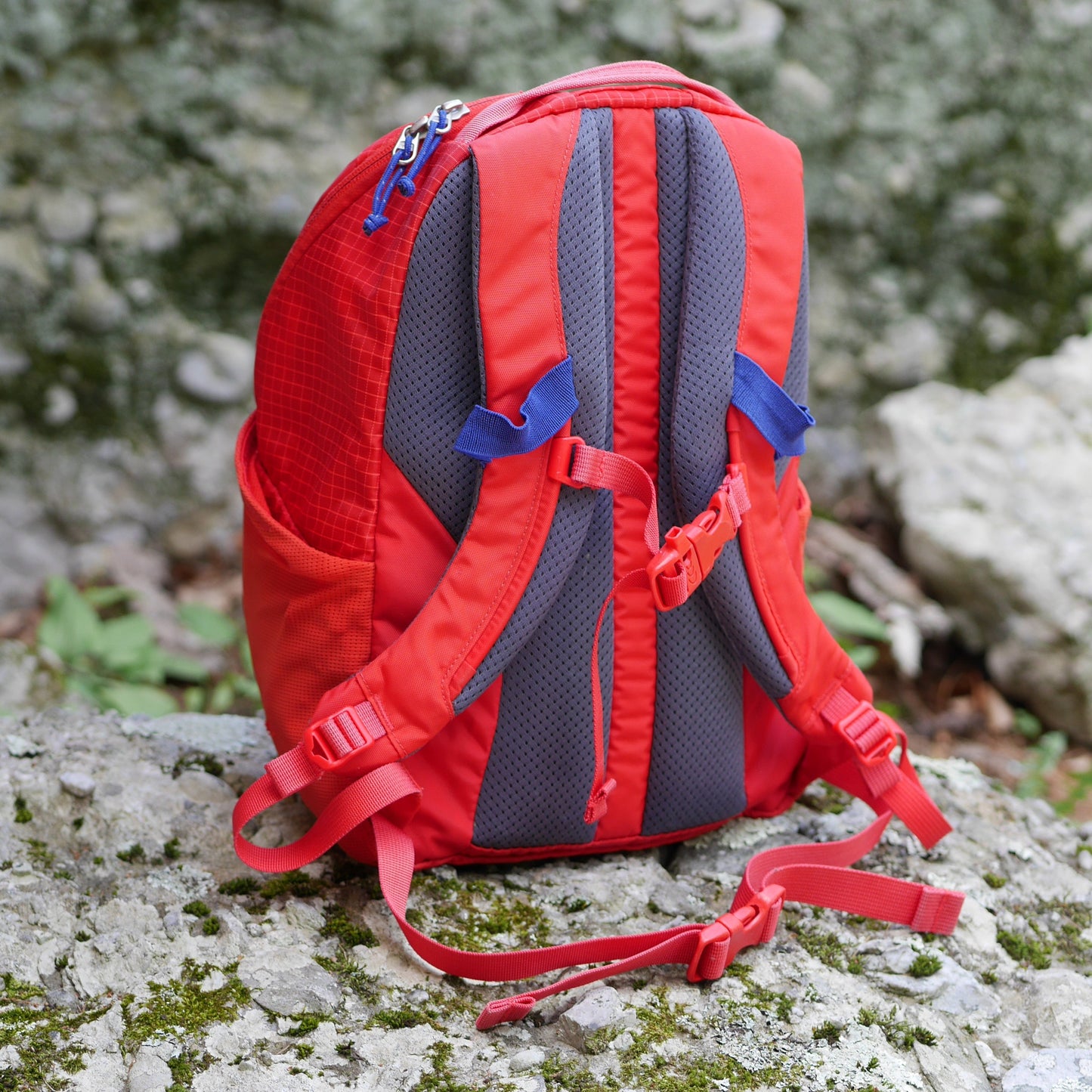 Reserved for Tia: Tarn 12 Backpack - Red (BP0093)