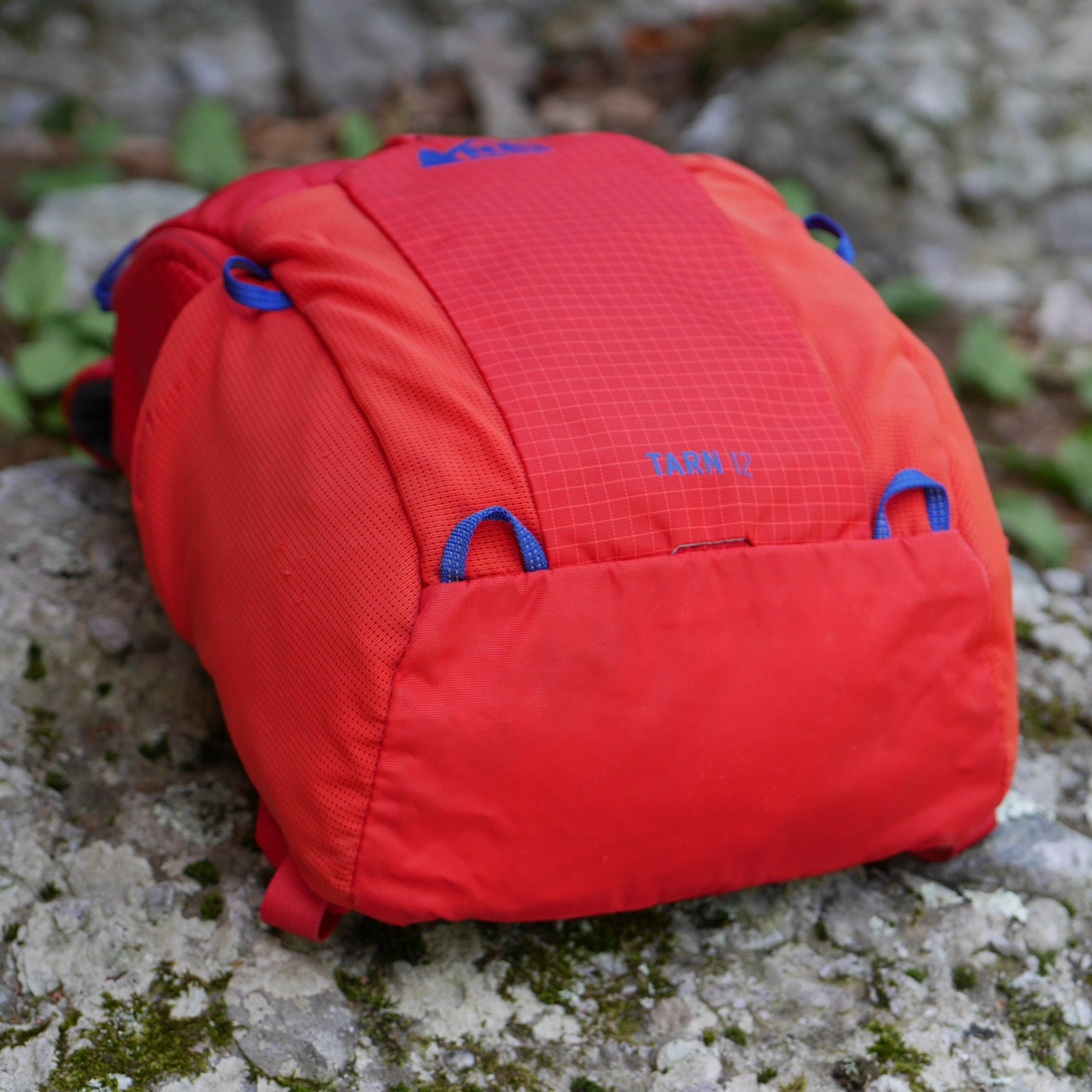 Reserved for Tia: Tarn 12 Backpack - Red (BP0093)