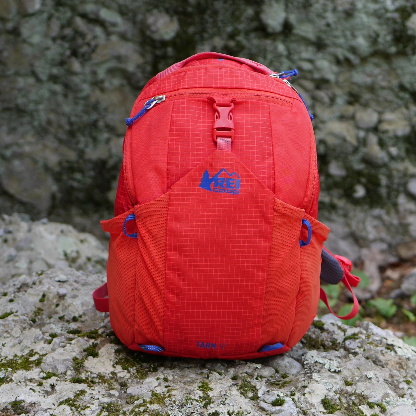 Reserved for Tia: Tarn 12 Backpack - Red (BP0093)