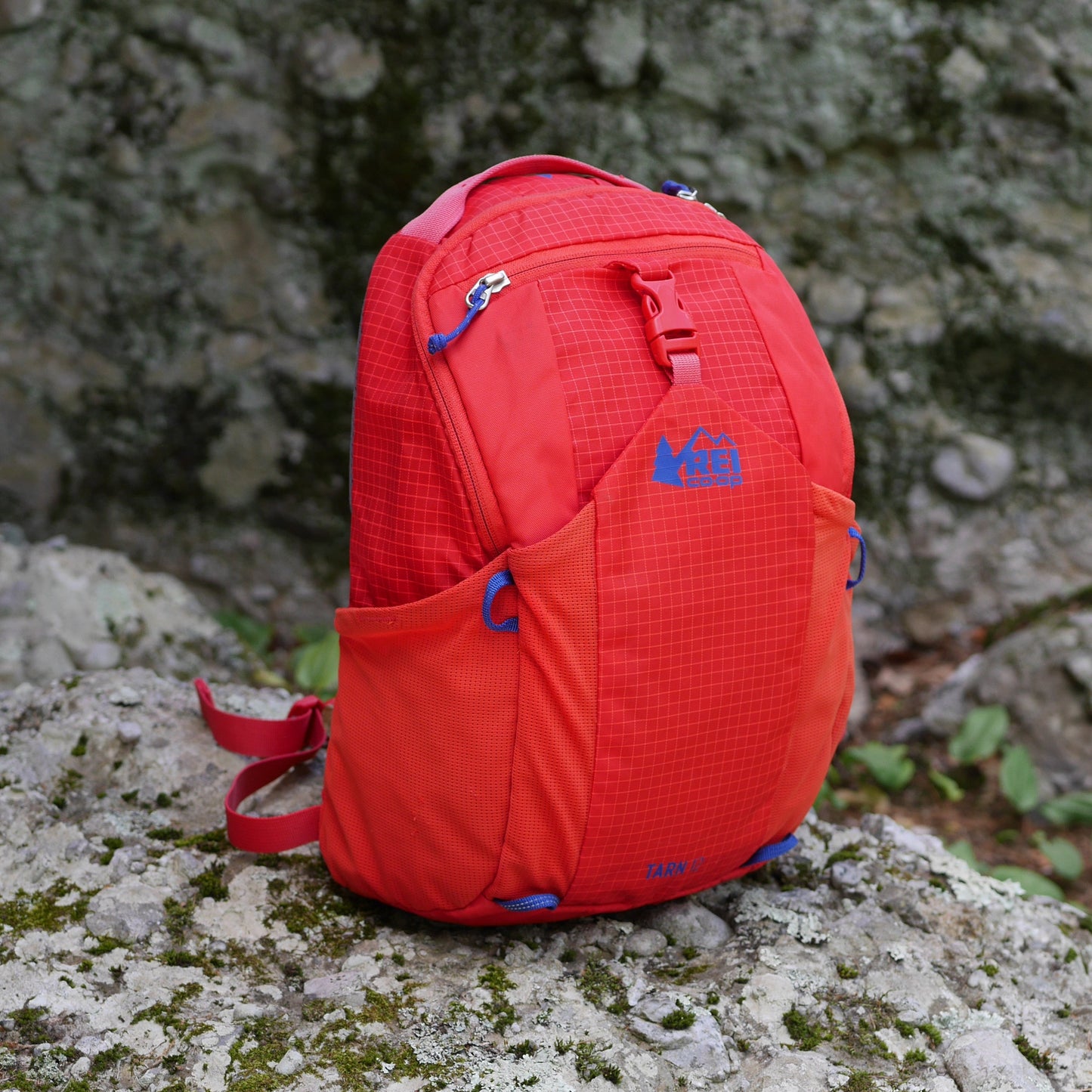 Reserved for Tia: Tarn 12 Backpack - Red (BP0093)
