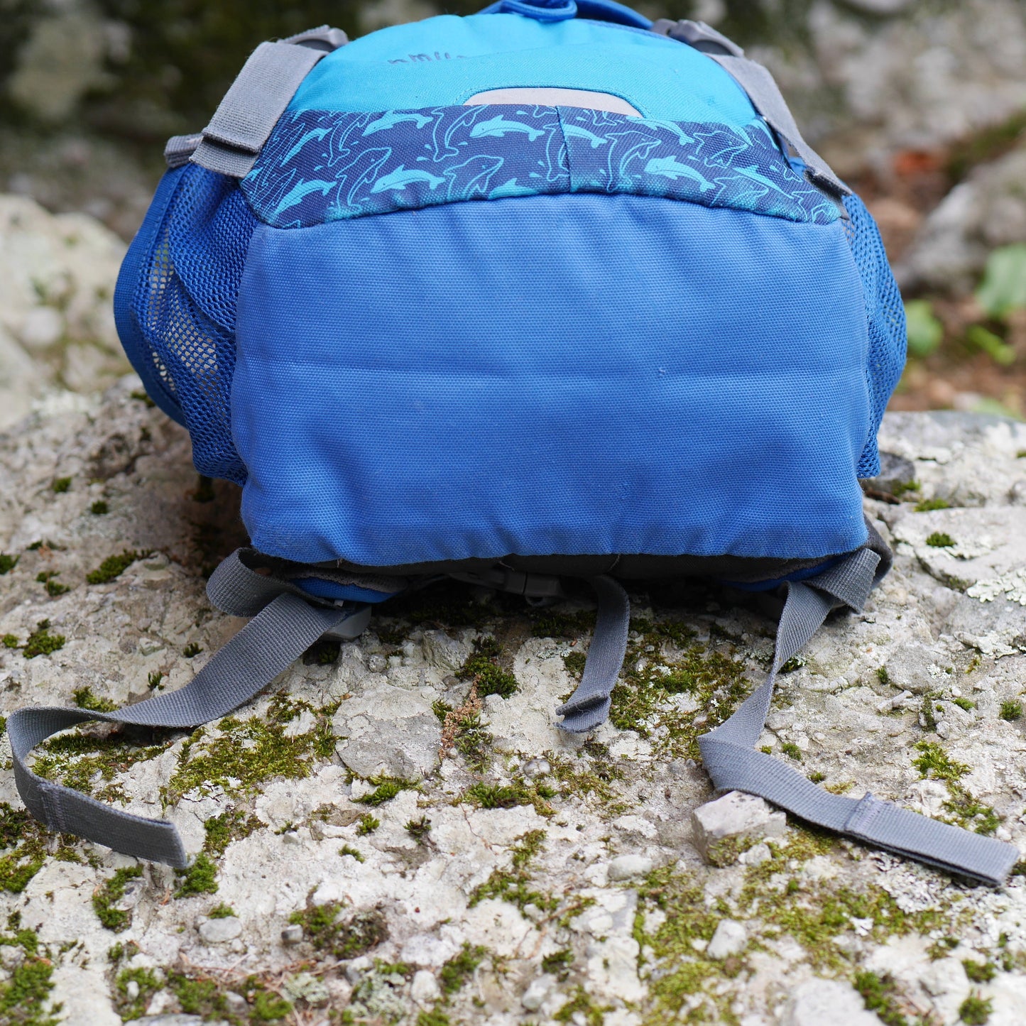 Schmusebär Backpack - Ocean / Blue Dolphins (BP32)