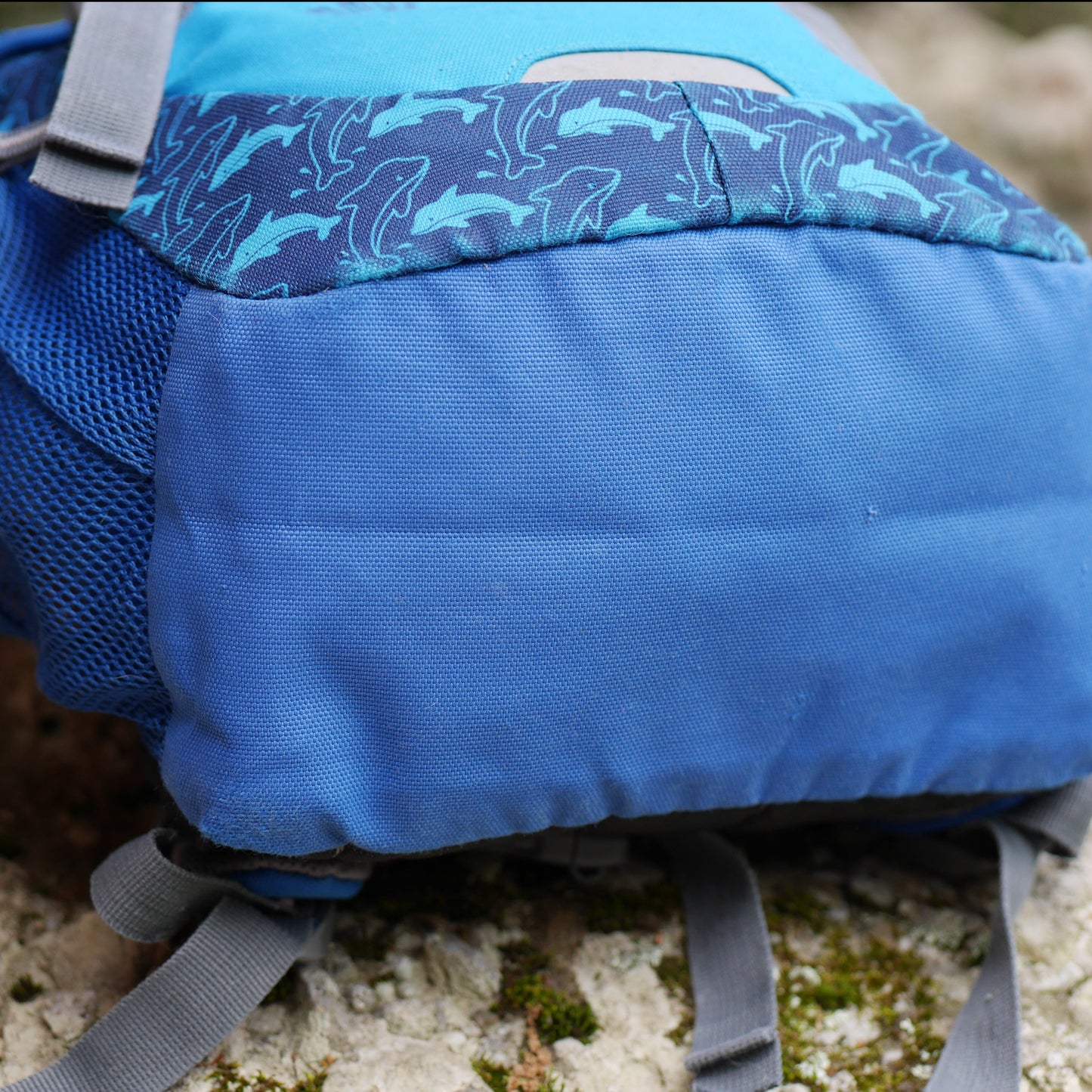 Schmusebär Backpack - Ocean / Blue Dolphins (BP32)