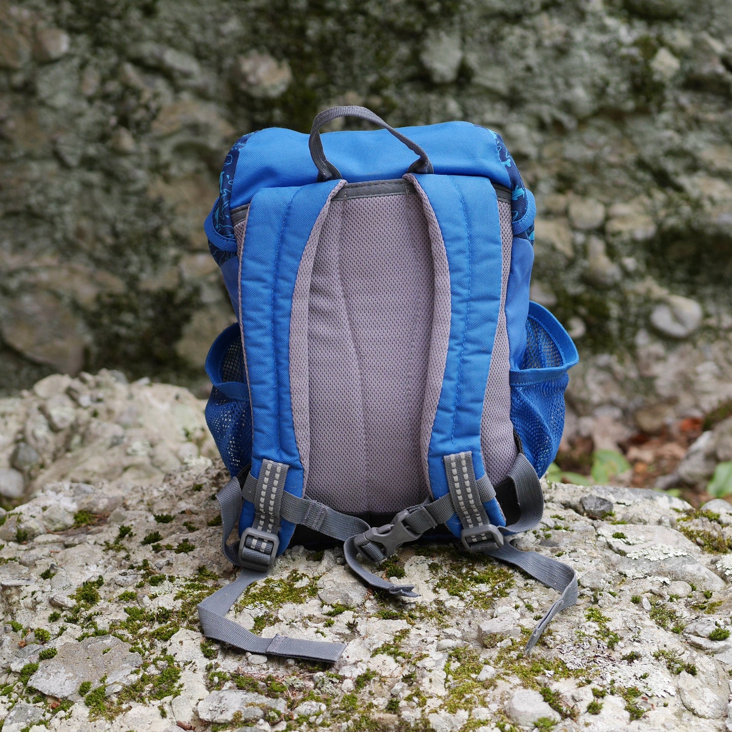 Schmusebär Backpack - Ocean / Blue Dolphins (BP32)