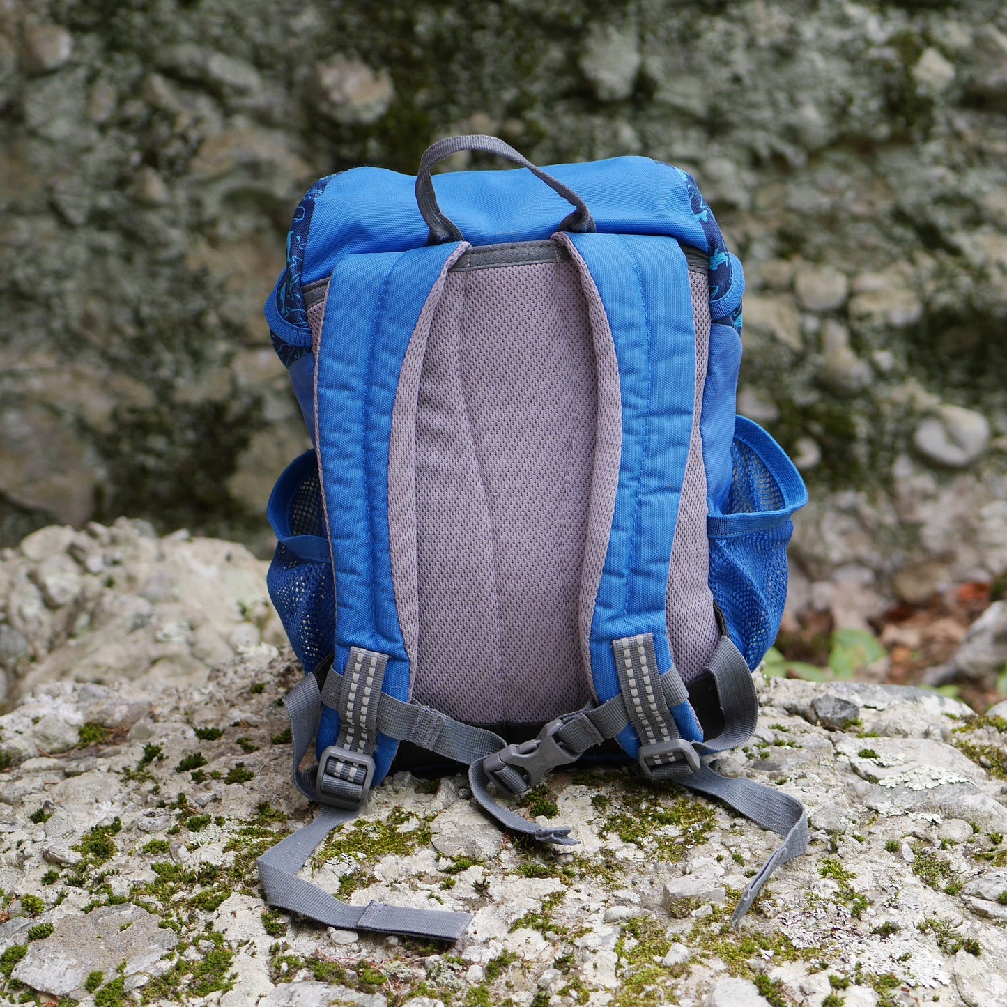 Schmusebär Backpack - Ocean / Blue Dolphins (BP32)