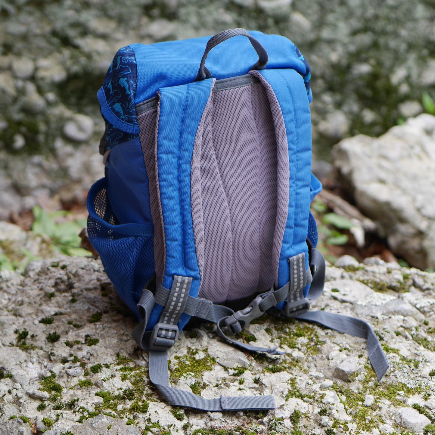 Schmusebär Backpack - Ocean / Blue Dolphins (BP32)