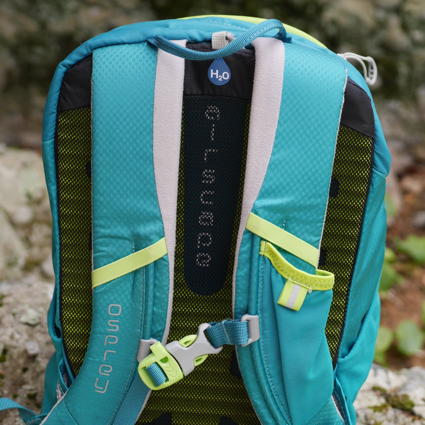 Jet 12 Backpack - Real Teal (BP38)