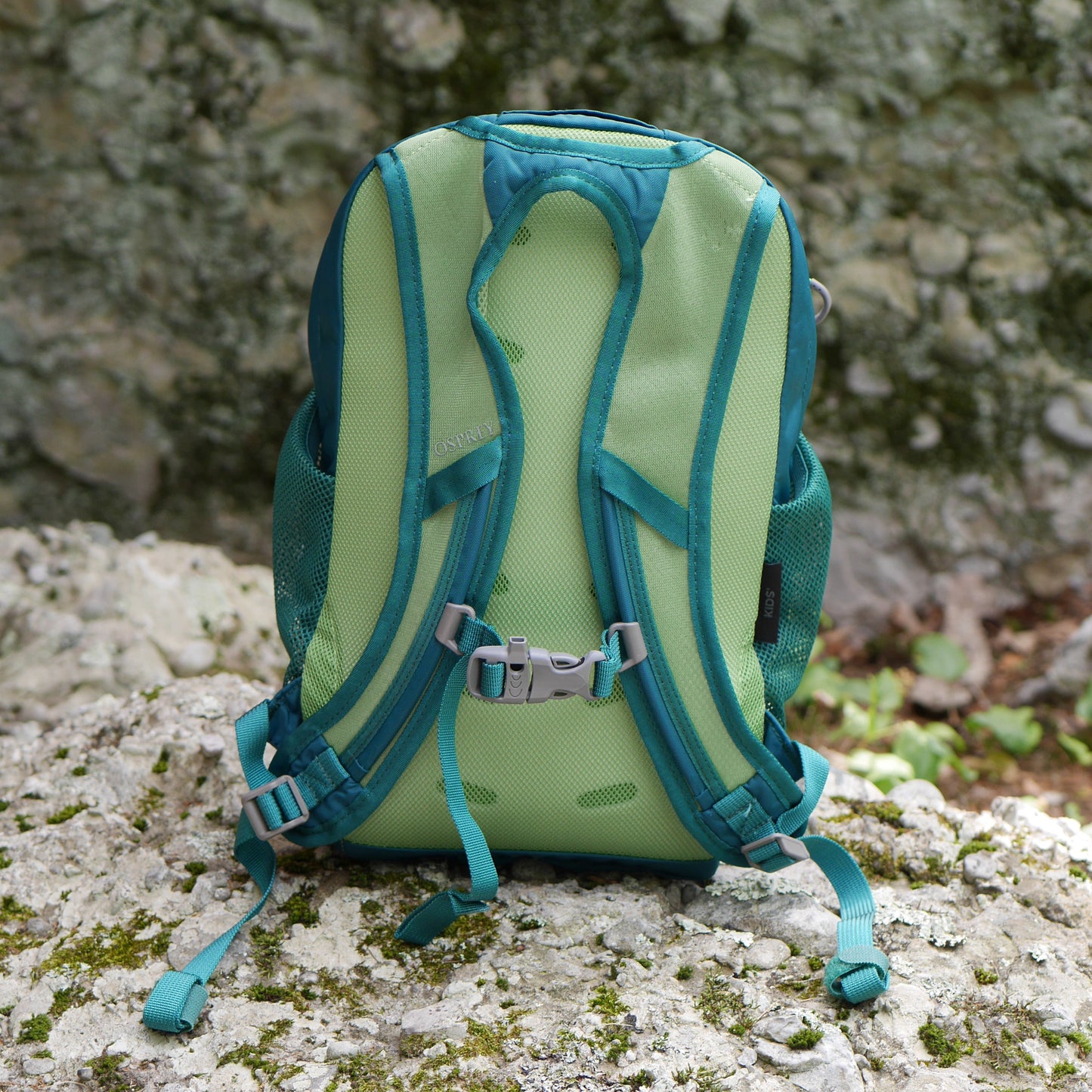 Daylite Kids' Everyday Backpack - Leafy Green (BP48)