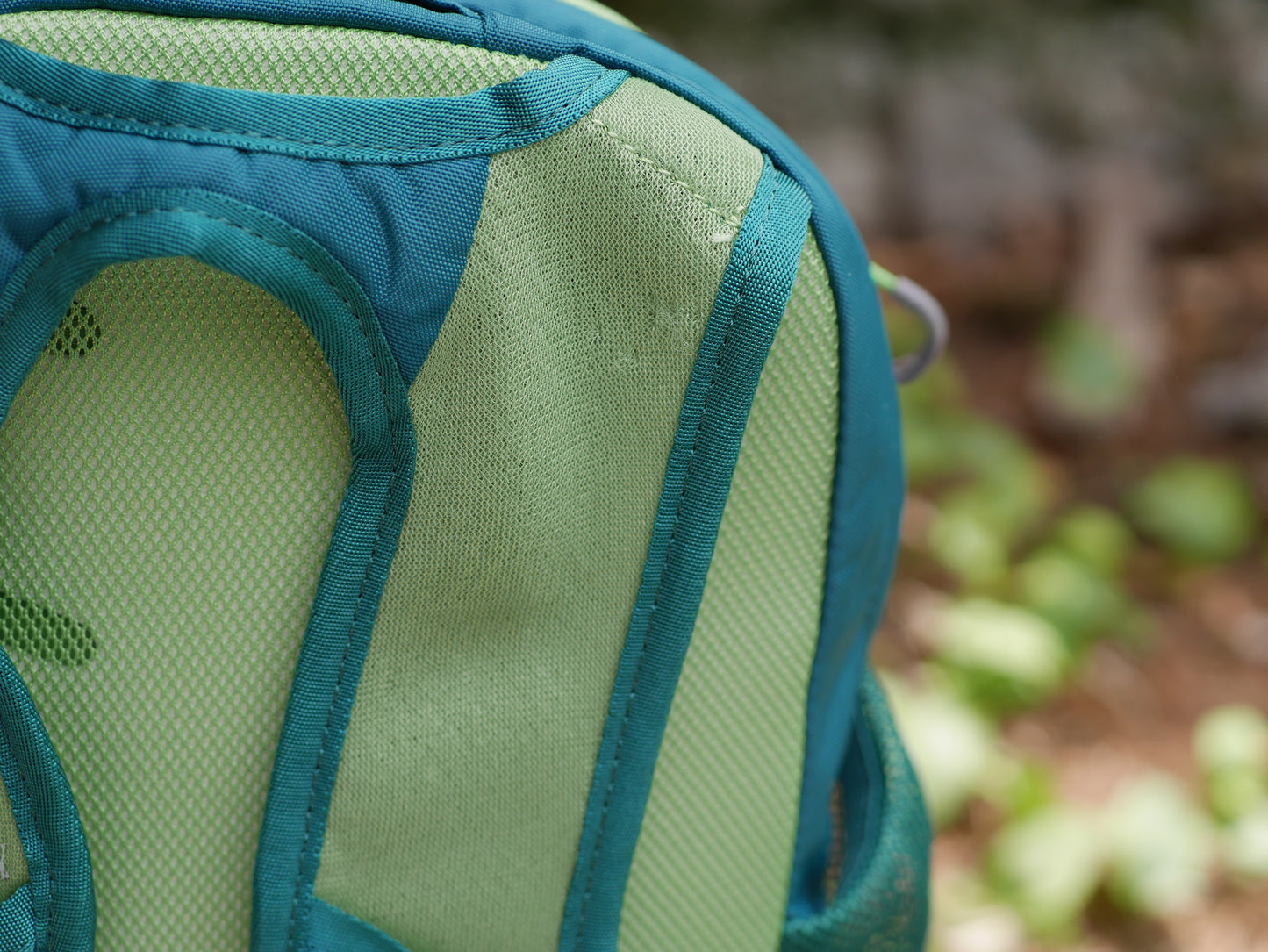 Daylite Kids' Everyday Backpack - Leafy Green (BP48)