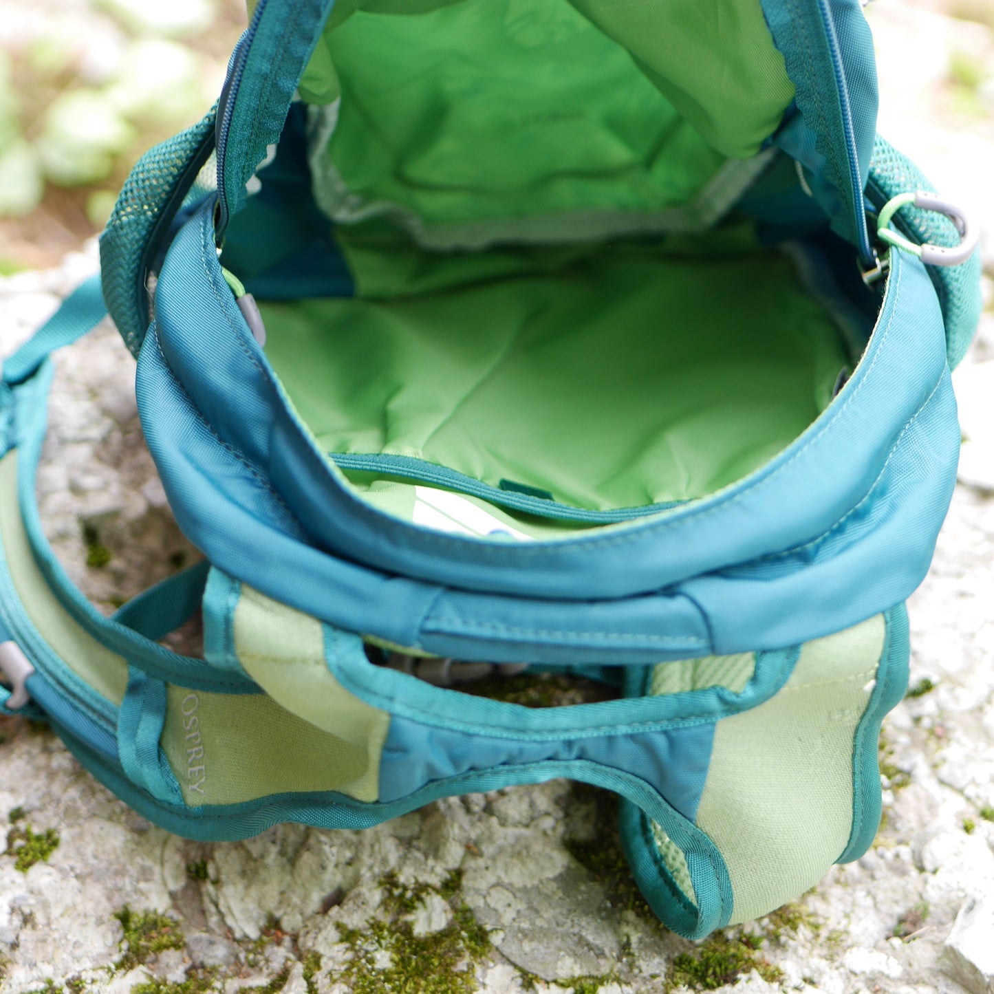 Daylite Kids' Everyday Backpack - Leafy Green (BP48)