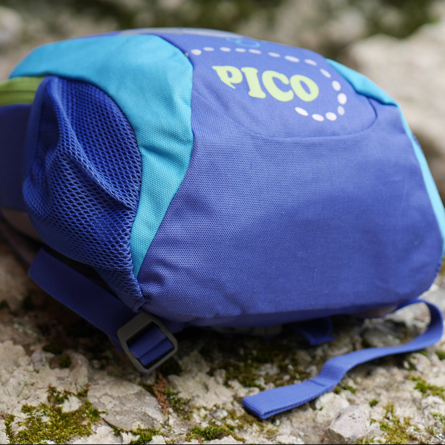 Pico Backpack - Indigo & Turquoise / Dolphin (BP49)