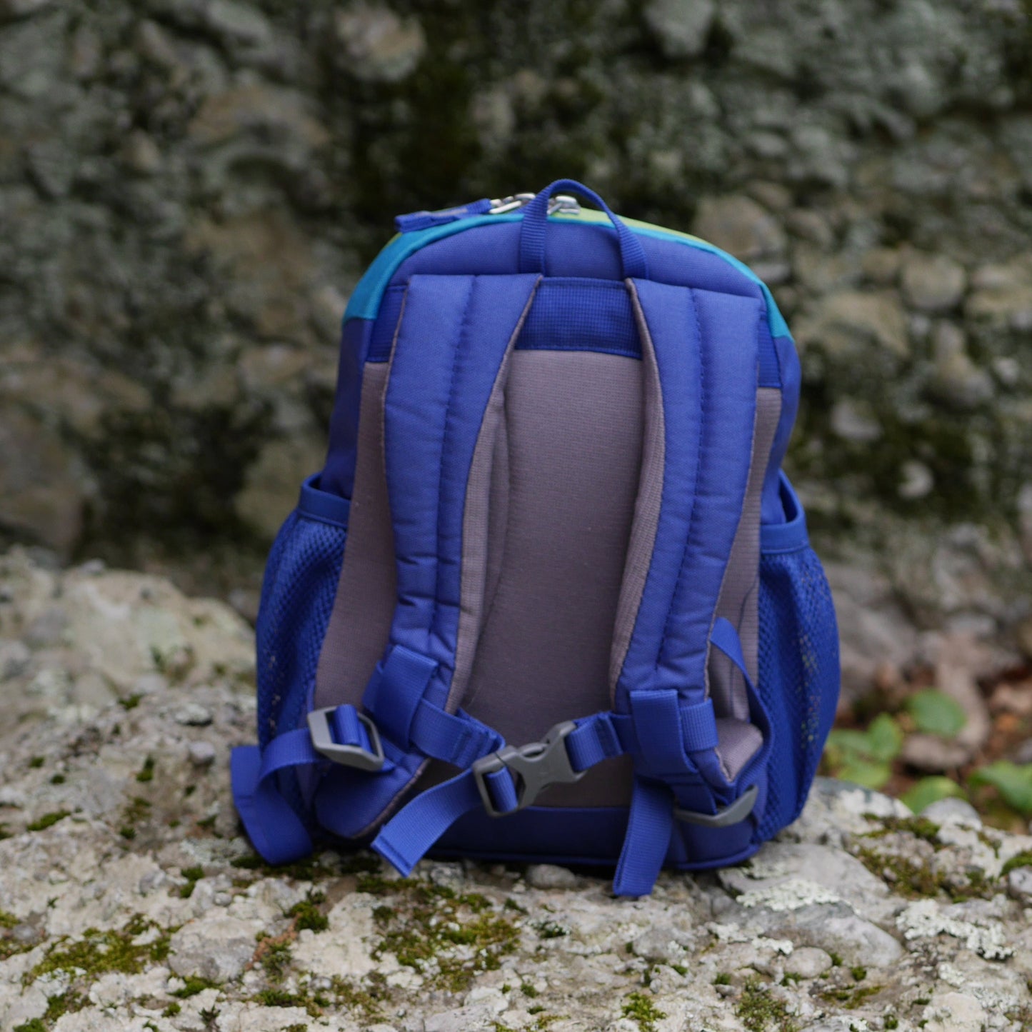 Pico Backpack - Indigo & Turquoise / Dolphin (BP49)