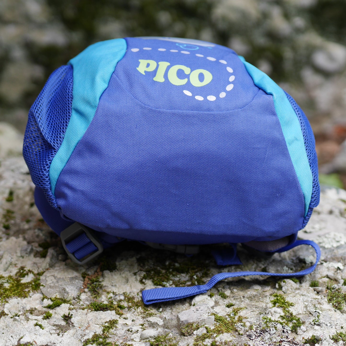Pico Backpack - Indigo & Turquoise / Dolphin (BP49)