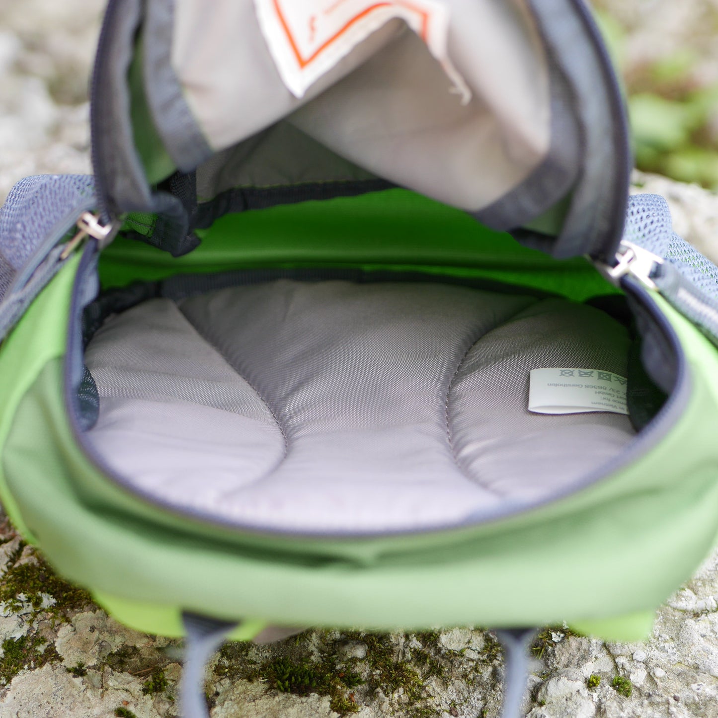 Pico Backpack - Alpine green & Kiwi / Frogs (BP59)
