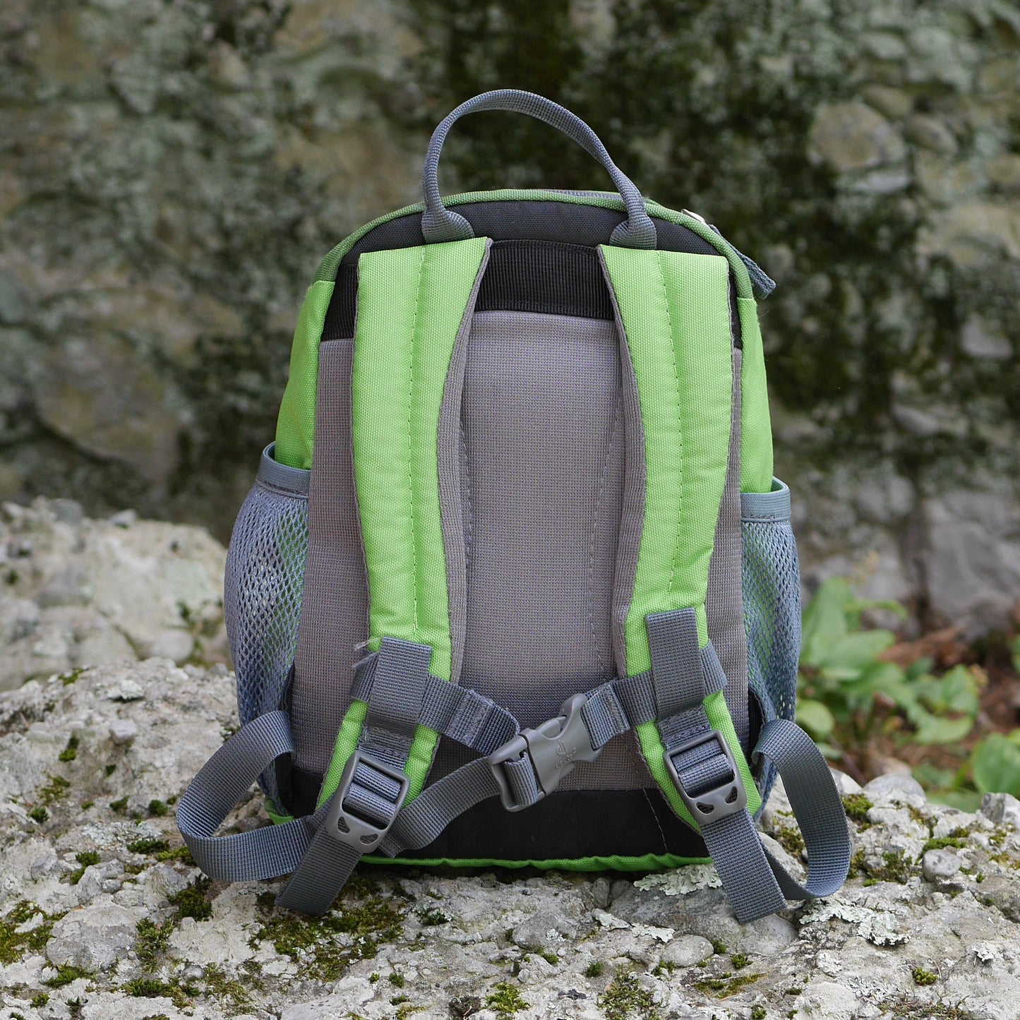 Pico Backpack - Alpine green & Kiwi / Frogs (BP59)