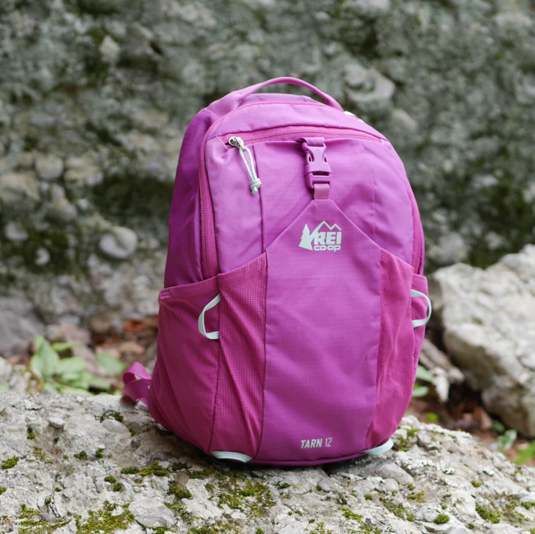 RESERVED for A.T. _ Tarn 12 Backpack - Pink Vivid Viola (BP82)
